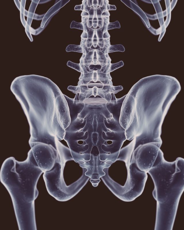 Kein Titel (640 × 800 px)